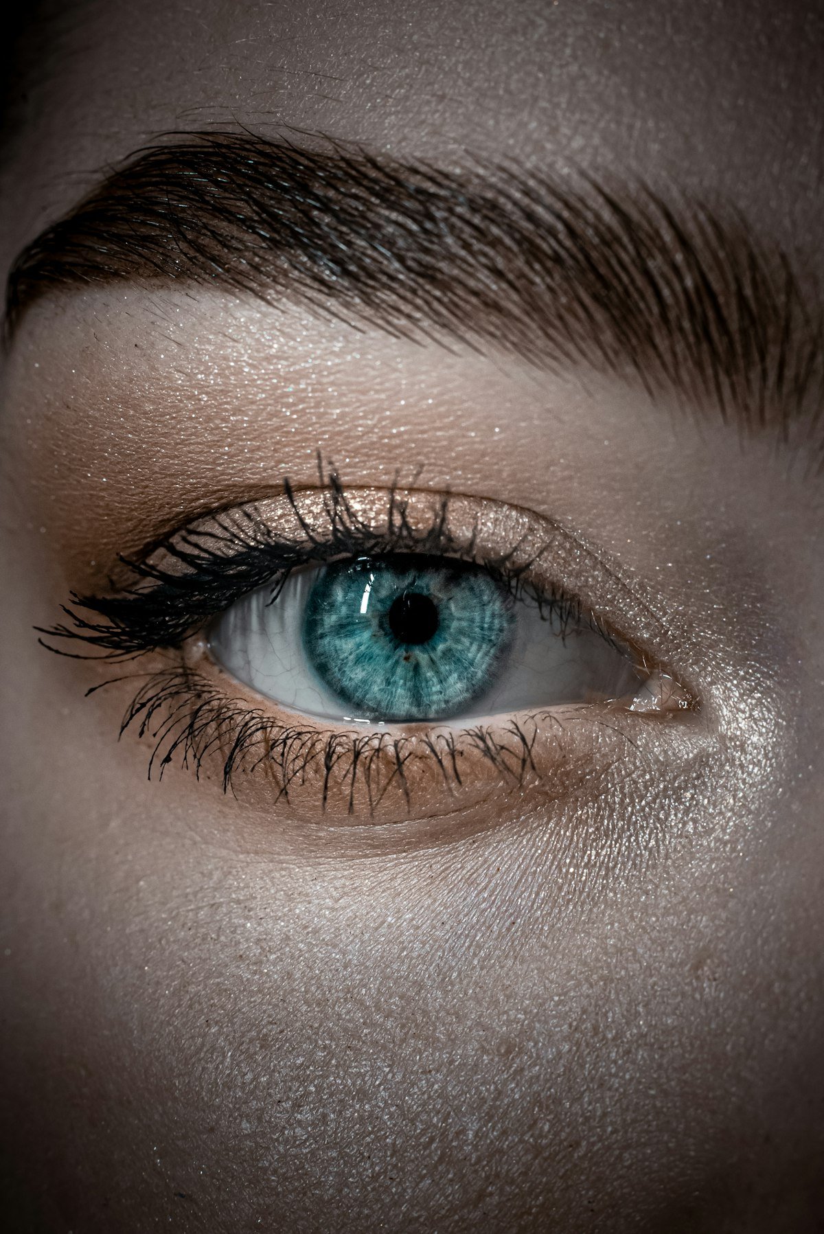 Diseño de Cejas