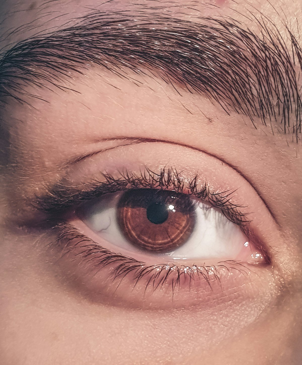 Diseño de Cejas — imagen 2