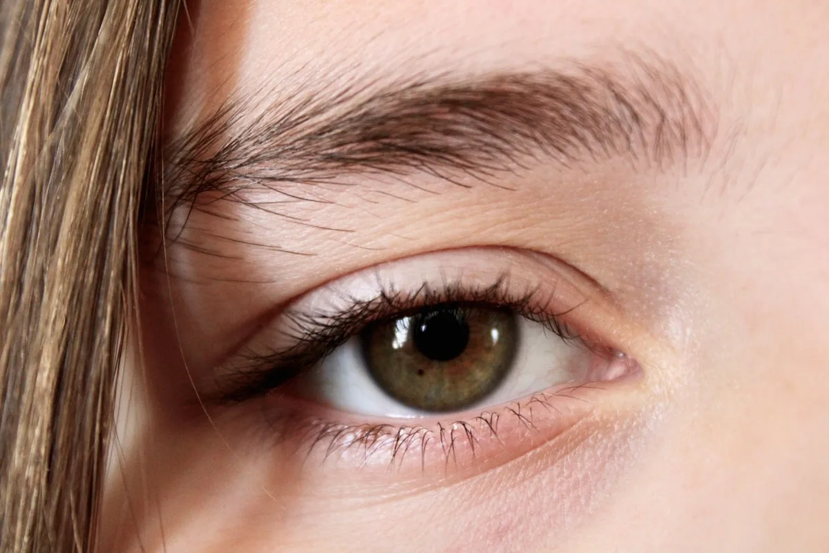 Cejas — imagen 6